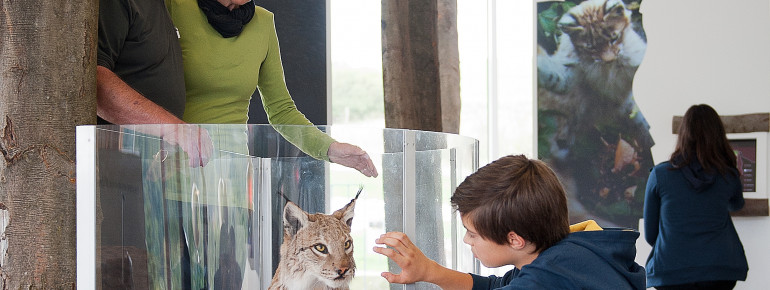 Das Nationalparkzentrum überrascht mit einer auffälligen Architektur, ungewöhnlichen Ausstellungsstücken und einem 4D-Kinoerlebnis.
