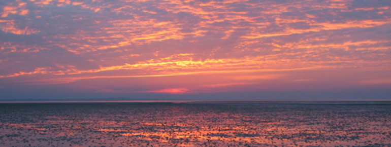 Bei deinem Besuch im Nationalpark kannst du an einer geführten Wattwanderung teilnehmen.