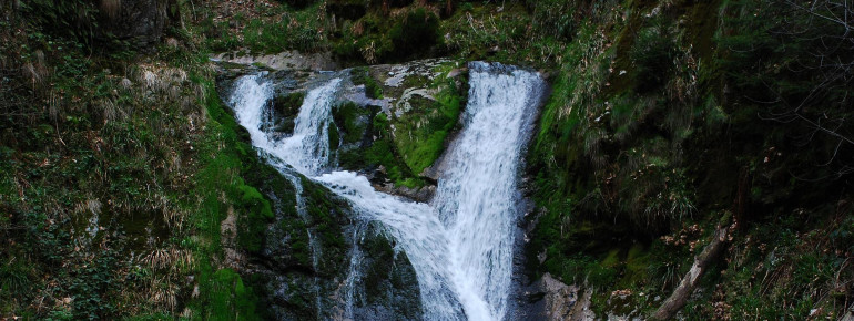 Natur Natur sein lassen - das Motto des Nationalparks.
