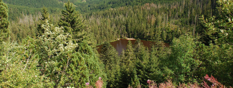 Der Wildsee ist einer der drei Seen im Nationalpark.