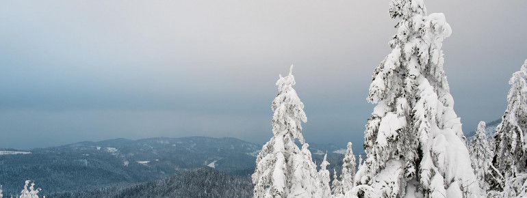 Ganz in weiß gehüllt versprüht der Nationalpark eine ruhige Atmosphäre.