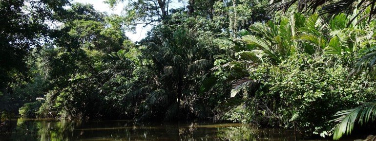 Mit dem Boot kannst du die einzigartige Kanal- und Lagunenlandschaft erkunden.