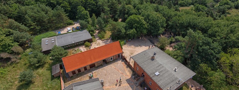 Der 1848 erbaute Leuchtturm Darßer Ort gehört zu den ältesten an der deutschen Ostseeküste und belohnt nach 134 Stufen mit einem weiten Blick über die Ostsee.