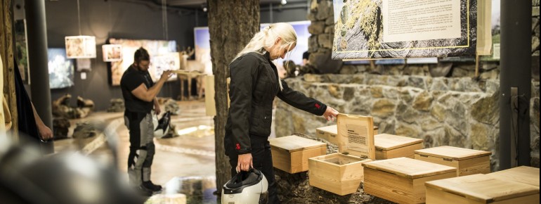 Die Ausstellung im Naturparkhaus gibt spannende Einblick in die Natur.