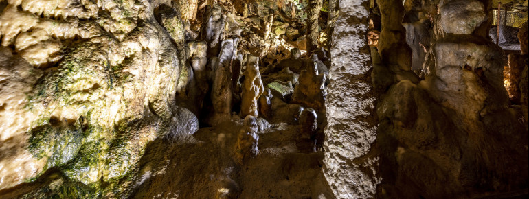Der Weg führt durch einen Wald von Tropfsteinen.