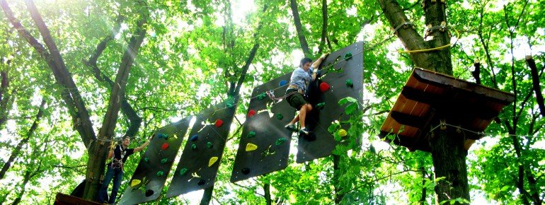 Im Klettergarten geht es hoch hinaus.
