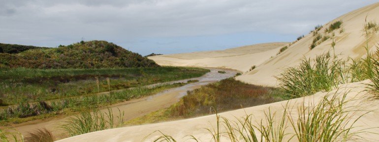Im nördlichen Bereich gibt es zahlreiche Dünen.