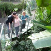 Die gläserne Hängebrücke im Tropischen Wald des Museums