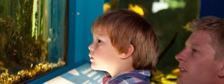 Unterwasserwelten entdecken