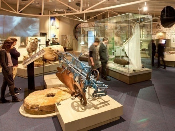 Ausstellung im Otago Museum
