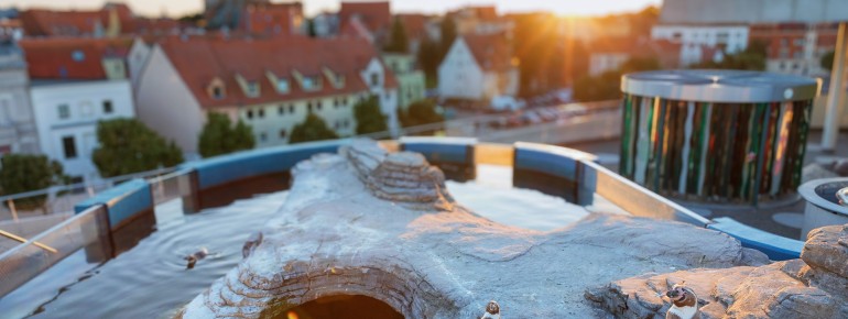 Auf der Dachterrasse des OZEANEUMs leben Humboldt-Pinguine in einer eigenen Anlage und gehören zu den Lieblingen der jungen Besucher.