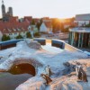 Auf der Dachterrasse des OZEANEUMs leben Humboldt-Pinguine in einer eigenen Anlage und gehören zu den Lieblingen der jungen Besucher.