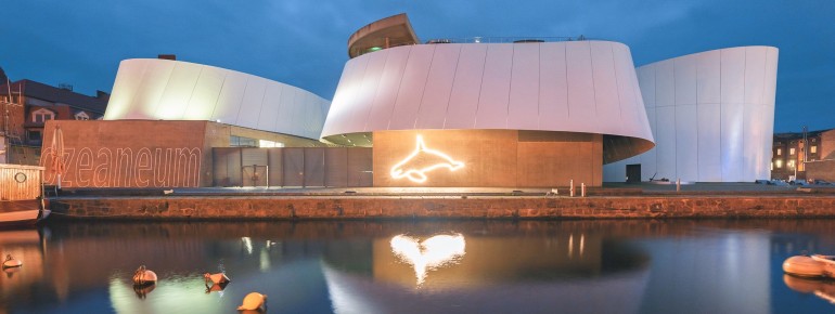 Mit seiner spektakulären Architektur aus weiß verkleideten Stahlblechen ist das OZEANEUM auf der Stralsunder Hafeninsel ein moderner Akzent im Hafenpanorama der UNESCO-Welterbestadt.
