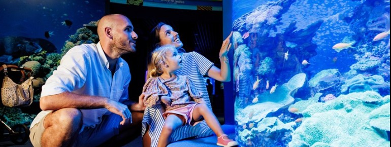 Die faszinierende Unterwasserwelt bietet ein besonderes Erlebnis für die ganze Familie.