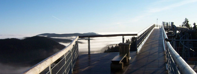 Genieße den Ausblick von der höchsten Aussichtsbrücke im Sauerland.