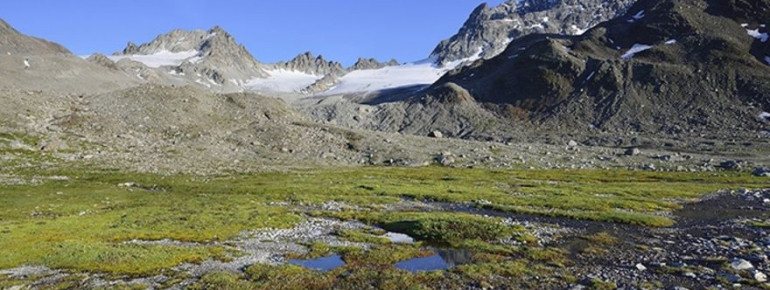 Piz Kesch und der Porchabella-Gletscher