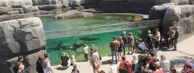 Der Zoo wurde 2014 nach einer kompletten Renovierung wiedereröffnet.