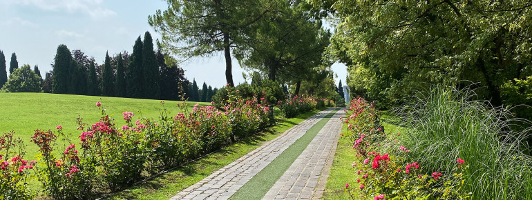 Wunderschön angelegt ist die Rosenallee mit zahlreichen unterschiedlichen Sorten.