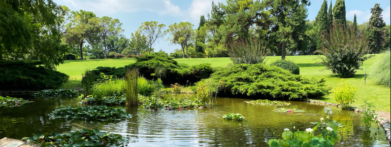 Idyllischer als dieser hier kann ein Gartenteich kaum sein.