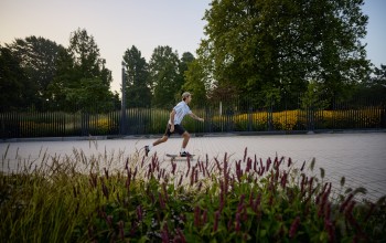 Im Park Planten un Blomen findest du ein Paradies aus Blumen, Pflanzen und Erholung.