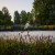 Im Park Planten un Blomen findest du ein Paradies aus Blumen, Pflanzen und Erholung.