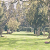 Der Friedhof Ohlsdorf ist der größte Parkfriedhof der Welt.