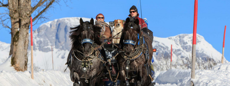 Eine Pferdeschlittenfahrt ist ein wahrer Genuss.