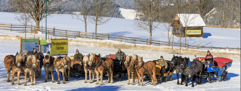 Der Treffpunkt der Pferdeschlitten befindet sich hinter dem Zentrum von Rohrmoos.