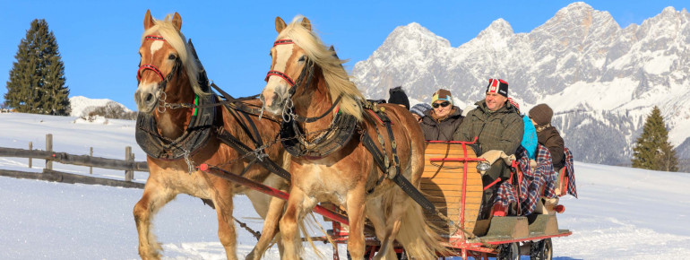 Dir stehen verschiedene Pferdeschlittenfahrten zur Auswahl.