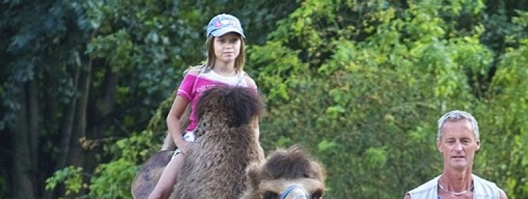 Pilsen Zoologischer und Botanischer Garten • Ausflugsziele Plzeň (Pilsen)