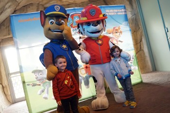 Triff deine Lieblingshelden wie Paw Patrol, Biene Maja oder Bumba hautnah.