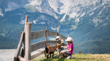 Astberg Pony Alm in Going