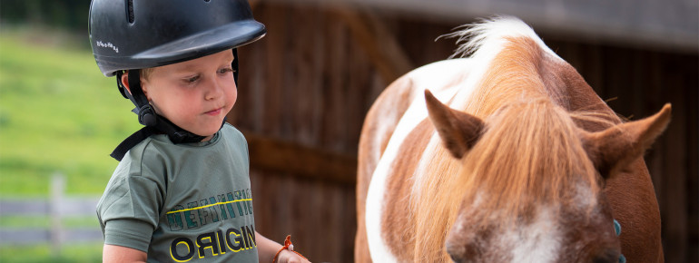 Astberg Pony Alm in Going