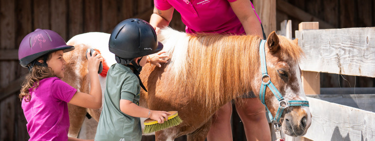 Astberg Pony Alm in Going