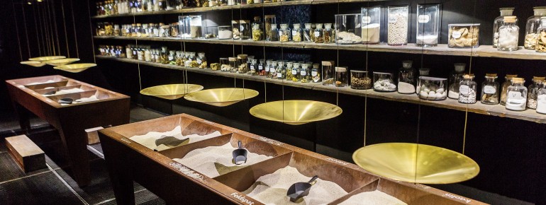 Besucher können sieben Erlebniswelten erkunden.