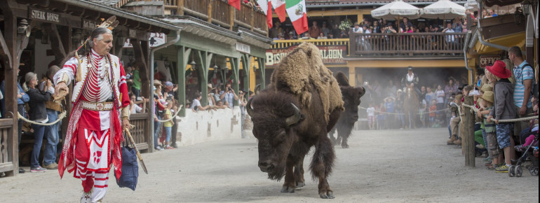 Freilaufende Bisons und Halbblut-Ceyenne Hunting Wolf