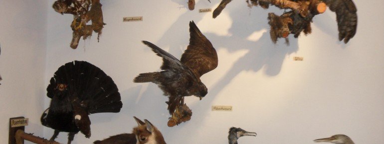 Auch Tiere dürfen nicht fehlen.