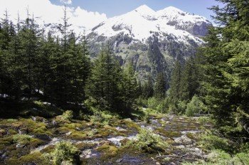 Rauriser UrQuell mit Bergblick