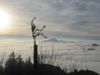 Von der Aussichtsplattform hast du einen tollen Ausblick über die Chiemgauer Bergwelt.