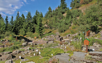 Im Rennsteiggarten werden Felsen und Gestein integriert, sodass die natürliche Umgebung im Alpengarten erhalten bleibt.