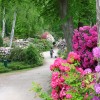Der Rhododendronpark in Graal-Müritz ist im Mai und Juni besonders farbenfroh.