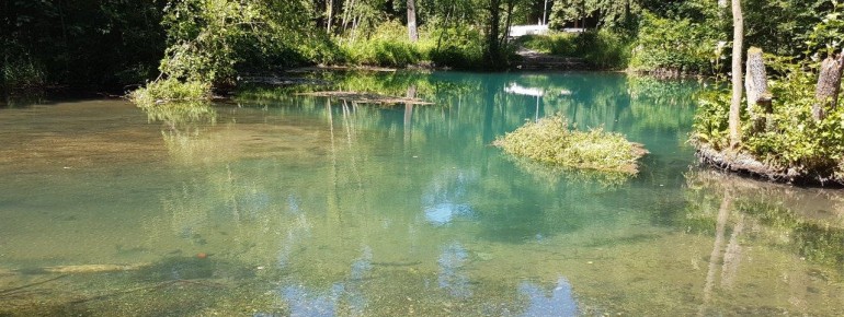 The Rhume spring near Rhumspringe is one of the largest karst springs in Europe.