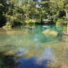 The Rhume spring near Rhumspringe is one of the largest karst springs in Europe.