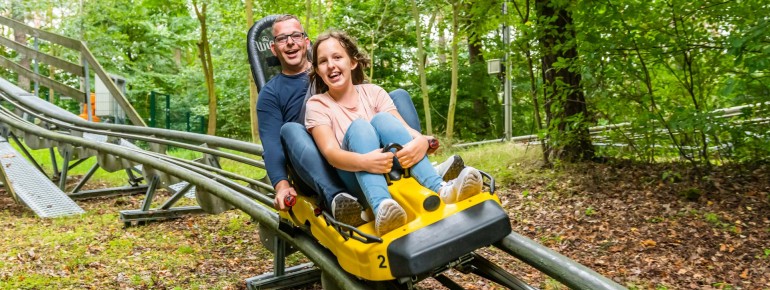 Die Schlitten erreichen eine Spitzengeschwindigkeit von bis zu 40 km/h.