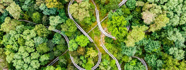 Die Bahn ist als Ganzjahresrodelbahn ausgelegt.