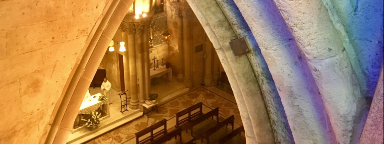 Blick in die Krypta der Sagrada Família. Die Gewölbedecke wurde von Gaudí so konstruiert, dass Licht hineinströmen kann.