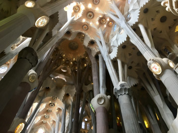 An den oberen Enden der Säulen lassen sich die von Gaudí beabsichtigen Verzweigungen der Äste erkennen.