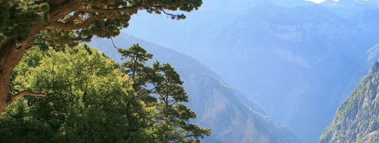 Die Hölzerne Treppe im Park