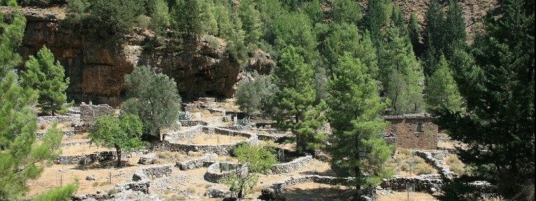Alte Siedlung im Samaria nationalpark