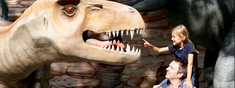 Der Fokus des Saurierparks liegt auf der spielerischen Vermittlung von Wissen rund um Dinosaurier.